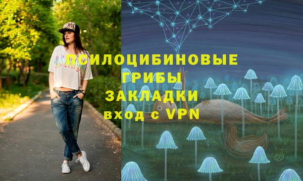 крисы Краснотурьинск